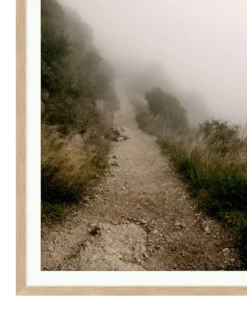 Foggy Path