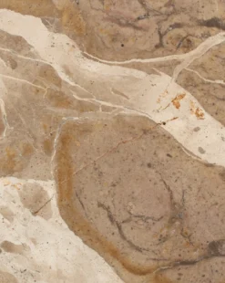 Fossil Marble End Table