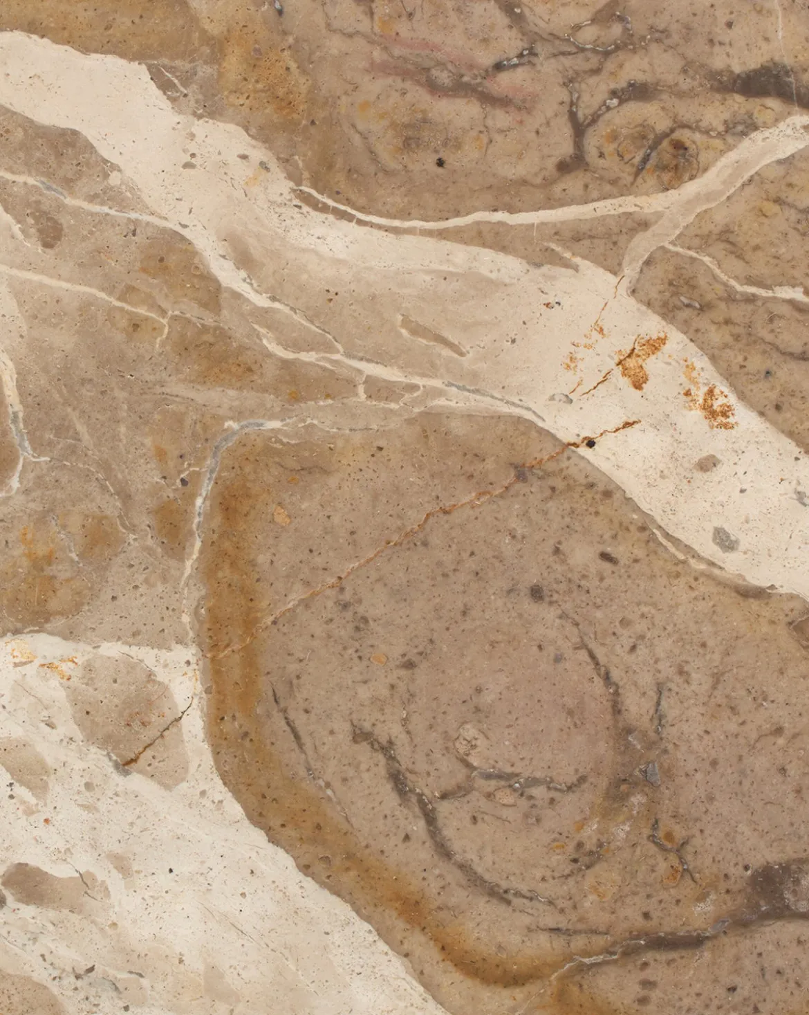 Fossil Marble End Table