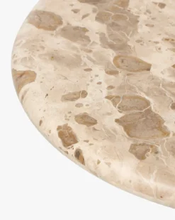Fossil Marble End Table