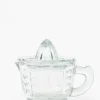 Glass Juicer with Measuring Cup