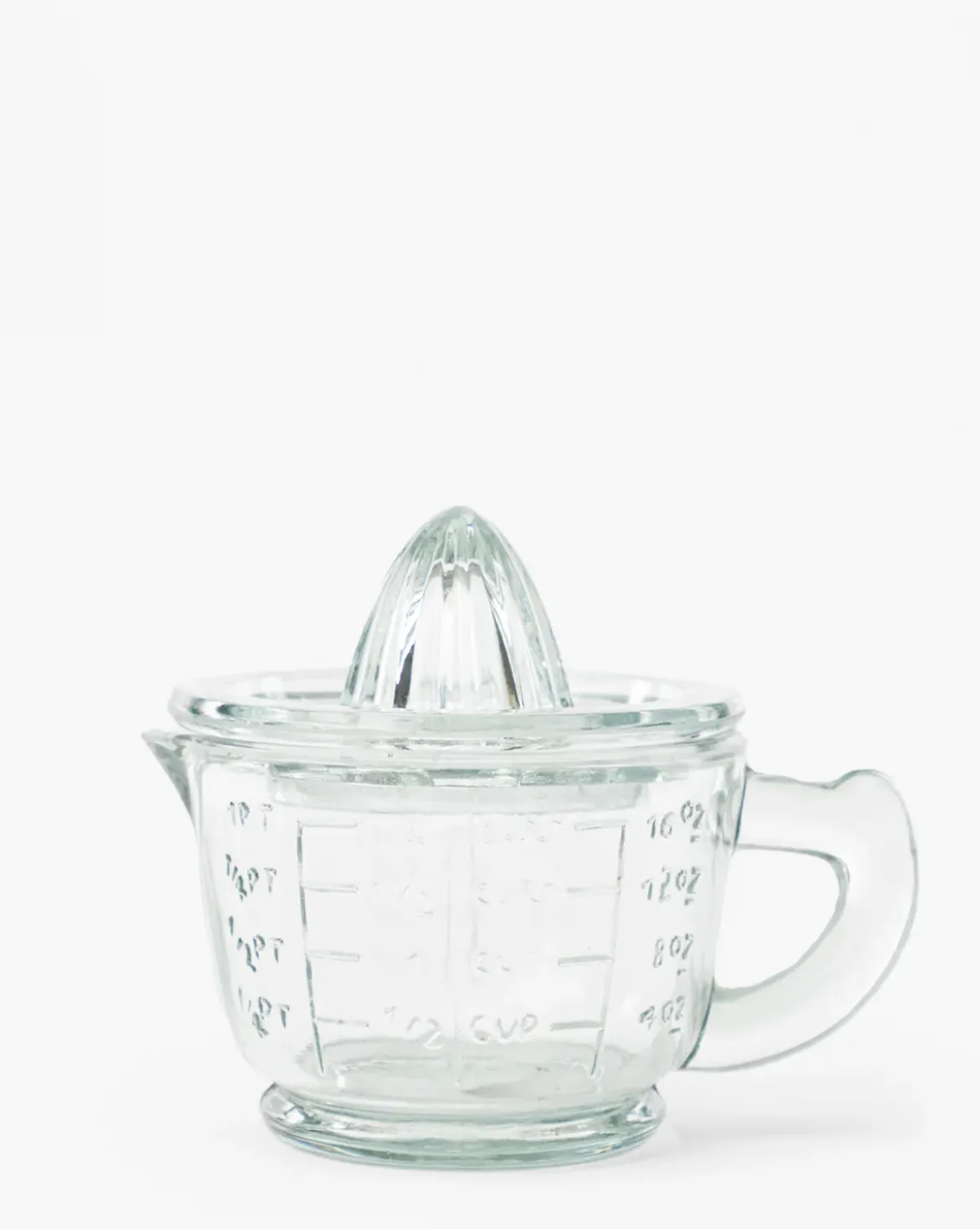 Glass Juicer with Measuring Cup