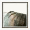 Graying