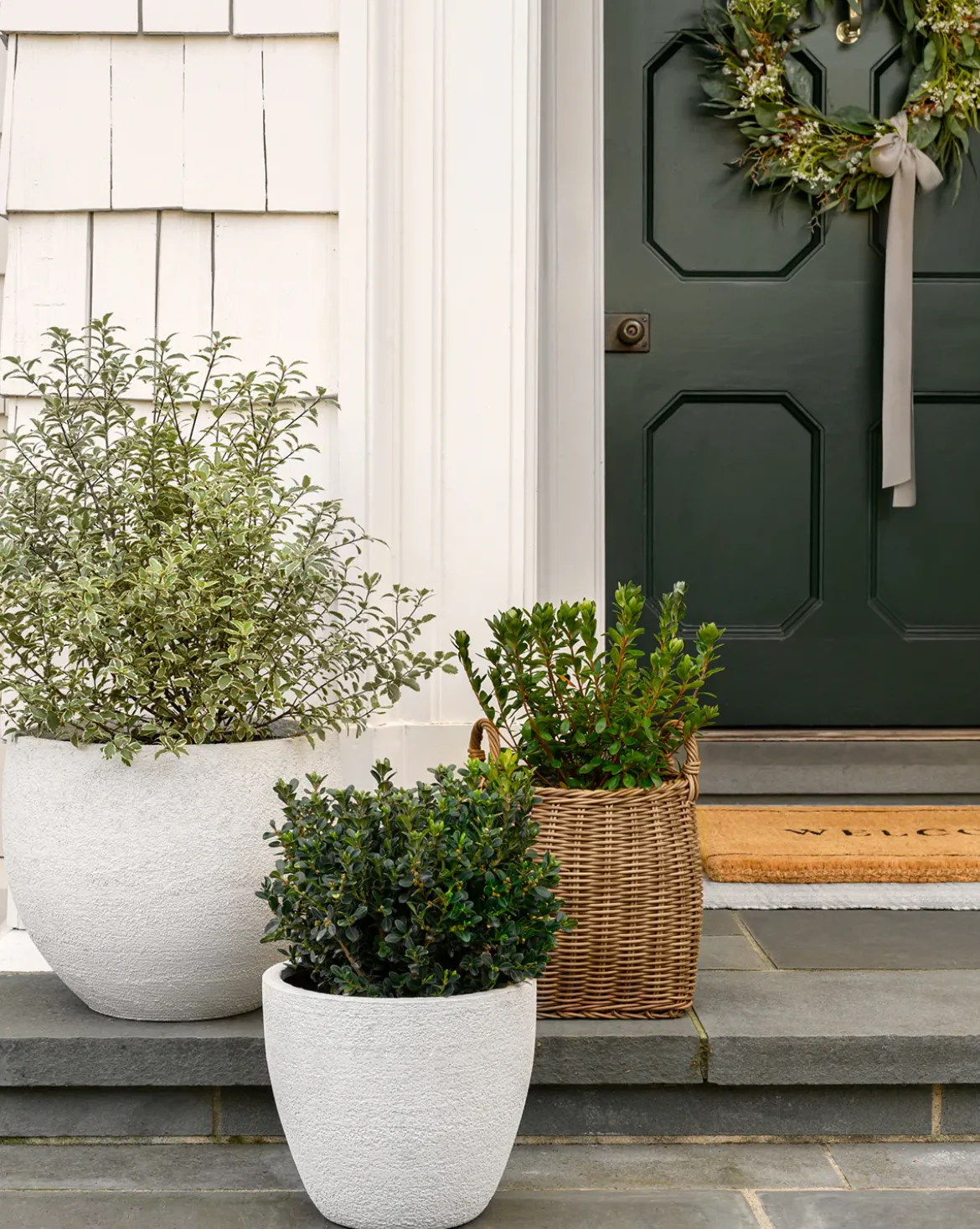 Handled Planter Basket