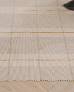 Hanlon Handwoven Indoor/Outdoor Rug