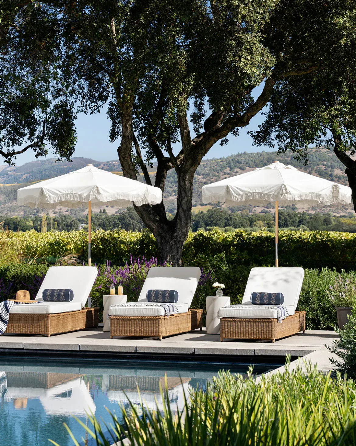 Haviland Outdoor Chaise