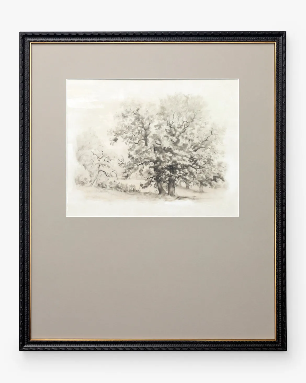 Heathland Oak