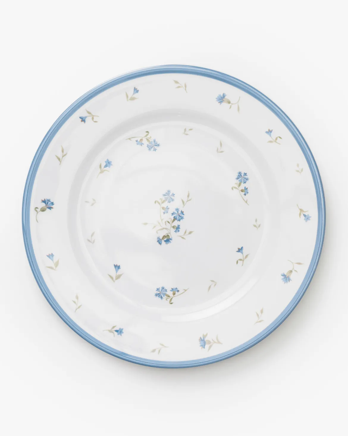 Hollingbury Melamine Outdoor Dinner Plates (Set of 4)