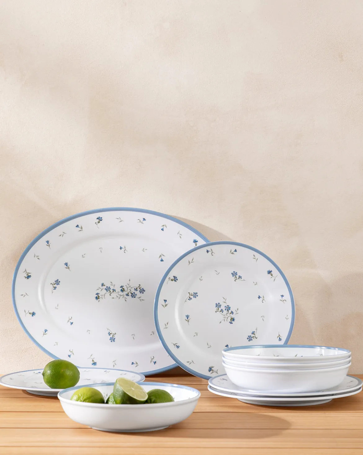 Hollingbury Melamine Outdoor Dinner Plates (Set of 4)