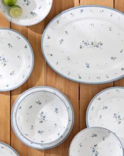 Hollingbury Melamine Outdoor Dinner Plates (Set of 4)