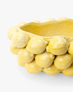 Layered Lemon Bowl