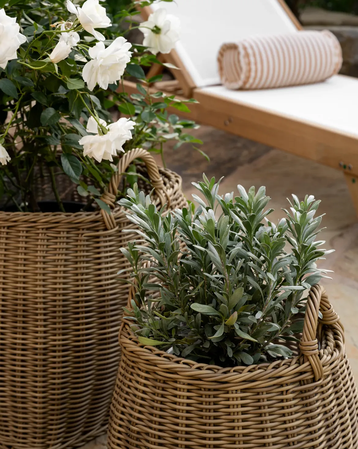Lightwash Handled Planter Basket