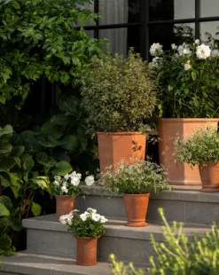 Lorenzo Terracotta Pot
