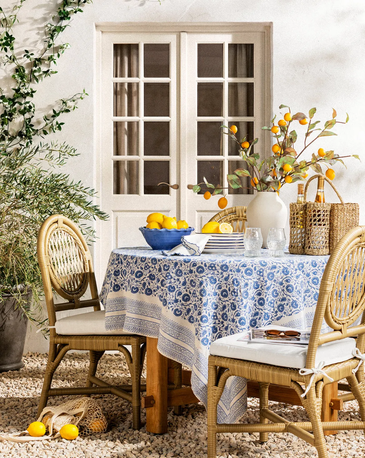 Marisol Indoor/Outdoor Dining Chair (Set of 2)