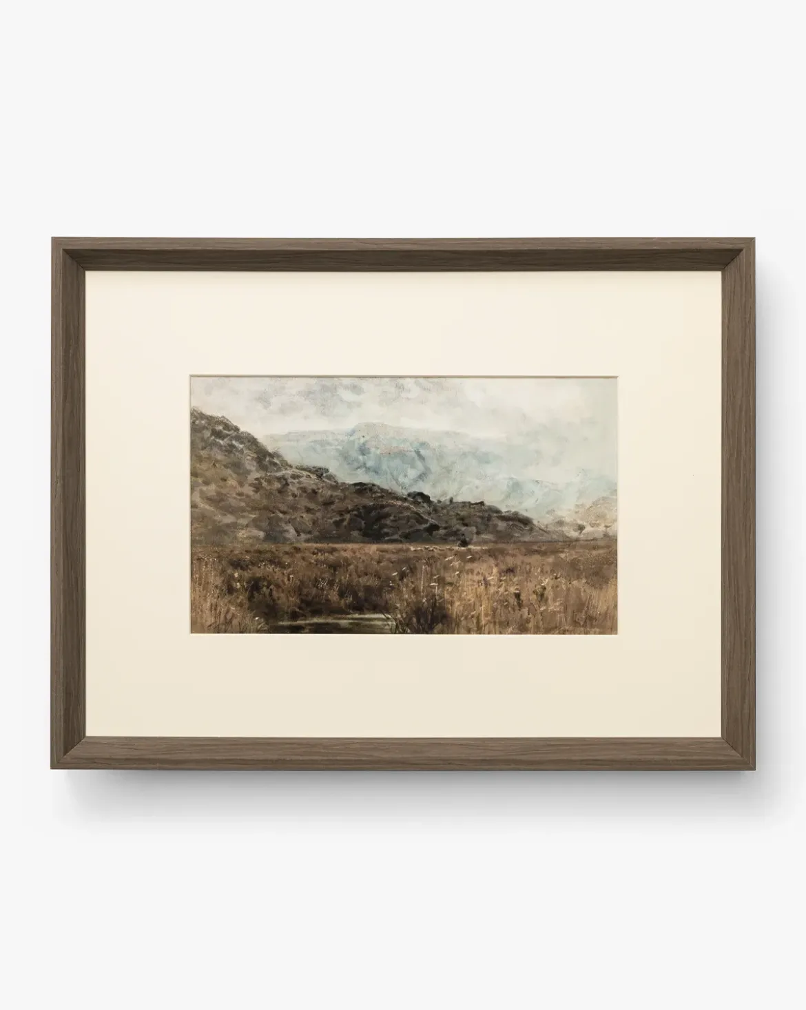 Marshland