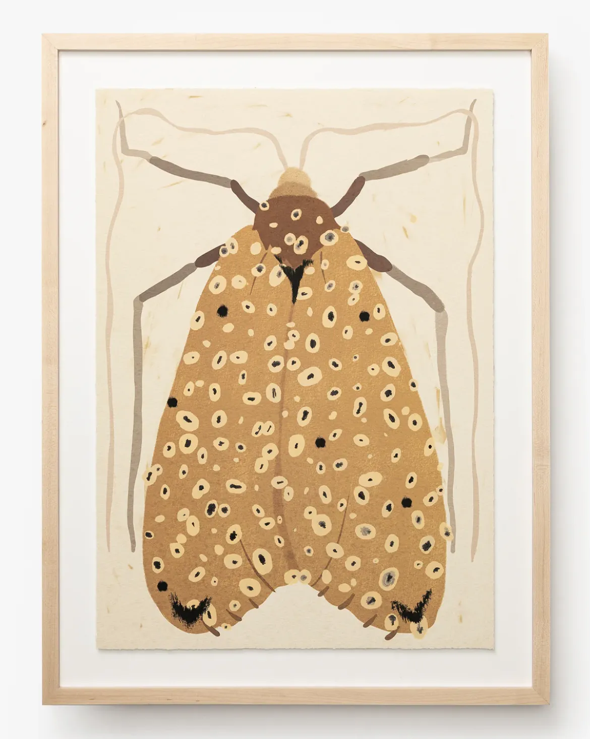 Moth IV By Coup d'Esprit