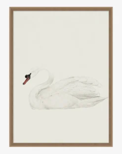 Neutral Swan