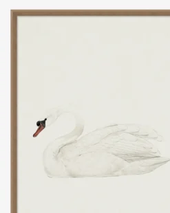Neutral Swan