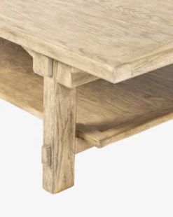Orion Coffee Table