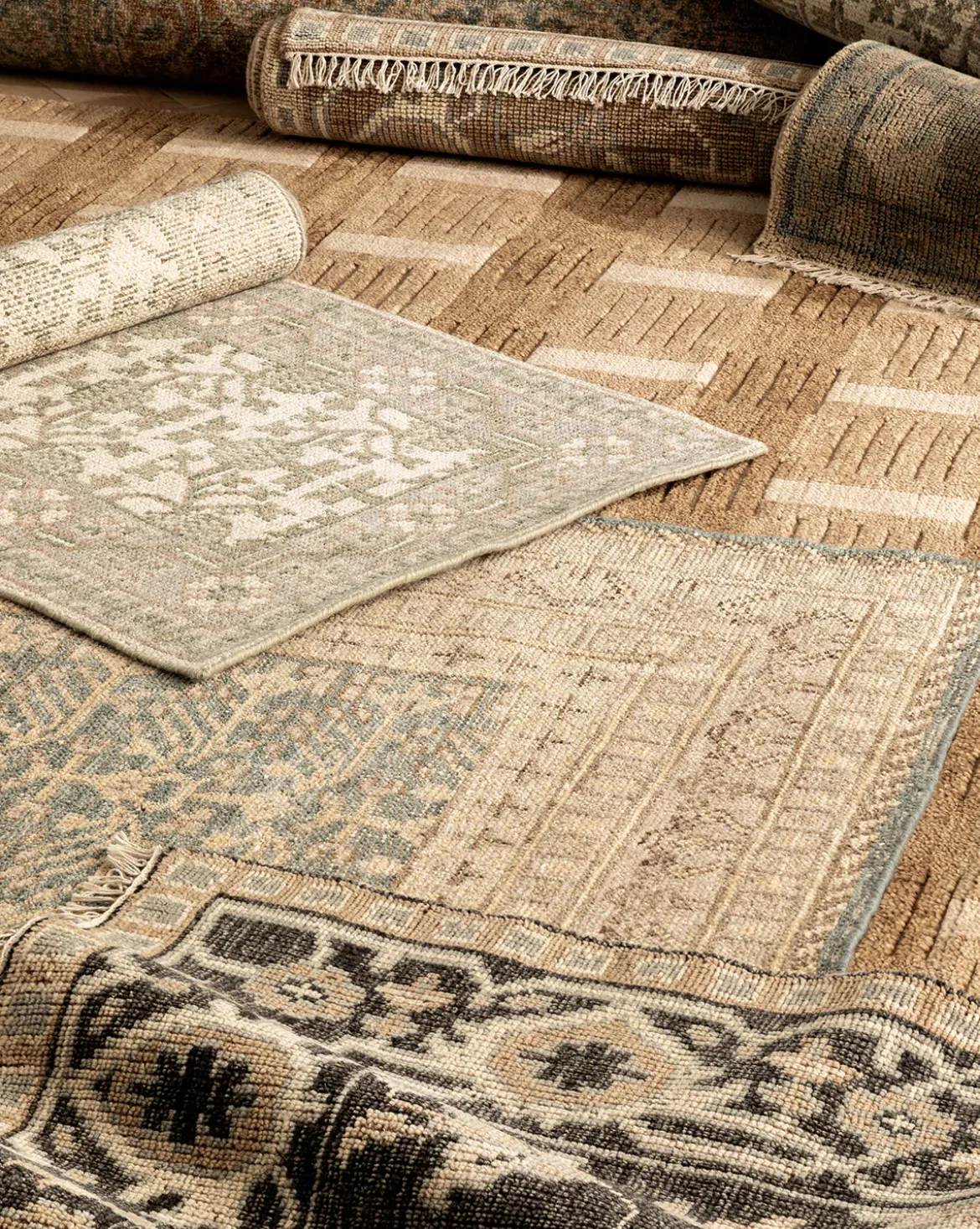 Orsino Hand-Knotted Rug