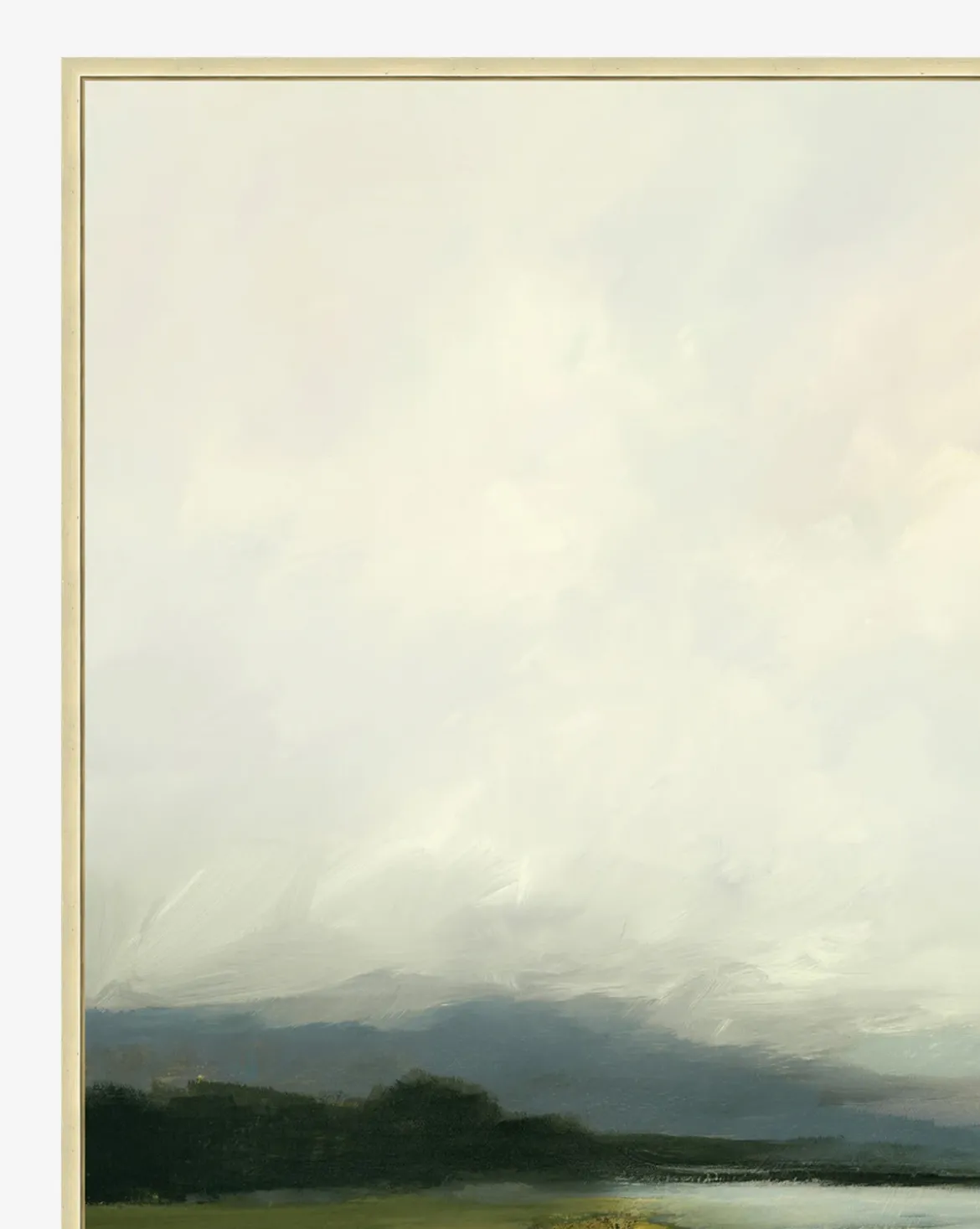Overcast Wetland
