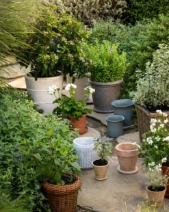 Peckham Planter
