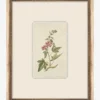 Petite Floral III
