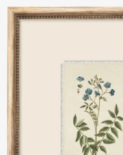 Petite Floral IV