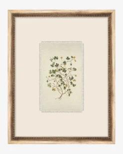 Petite Floral ll