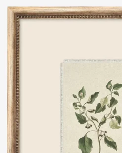 Petite Floral V