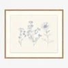 Petites Fleurs