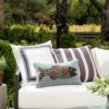 Poisson Indoor/Outdoor Pillow