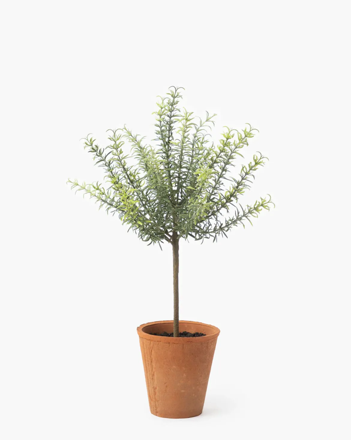 Potted Faux Rosemary Topiary