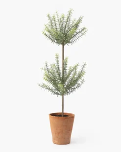 Potted Faux Rosemary Topiary