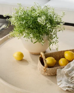 Rinna Ceramic Jar