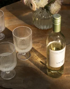 Sanibel Acrylic Goblets (Set of 4)