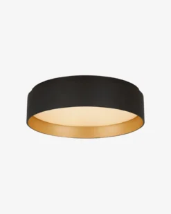 Shaw Flush Mount