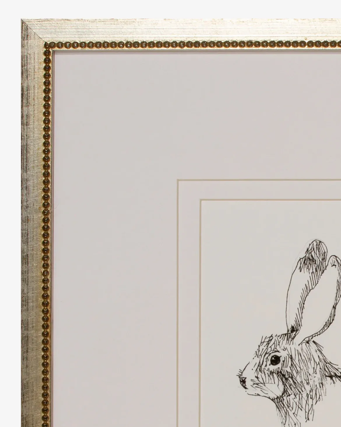 Sketched Bunny I