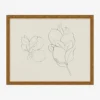 Sketched Fruit II
