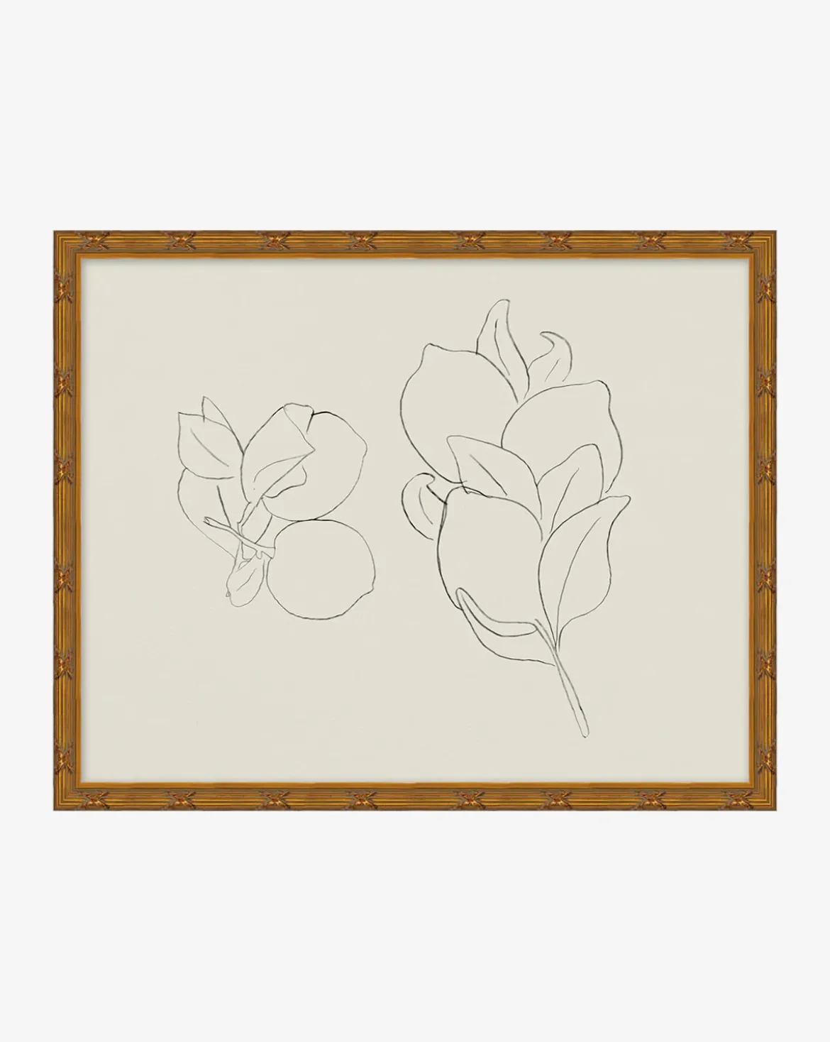 Sketched Fruit II