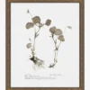 Subdued Botanicals II
