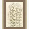 Timeless Sprigs