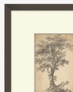 Tree on a Hilltop