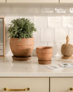 Vichy Terracotta Planter