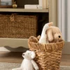 Water Hyacinth Baskets with Handles (Set of 2)
