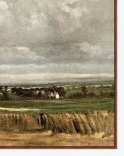 Wheatfield