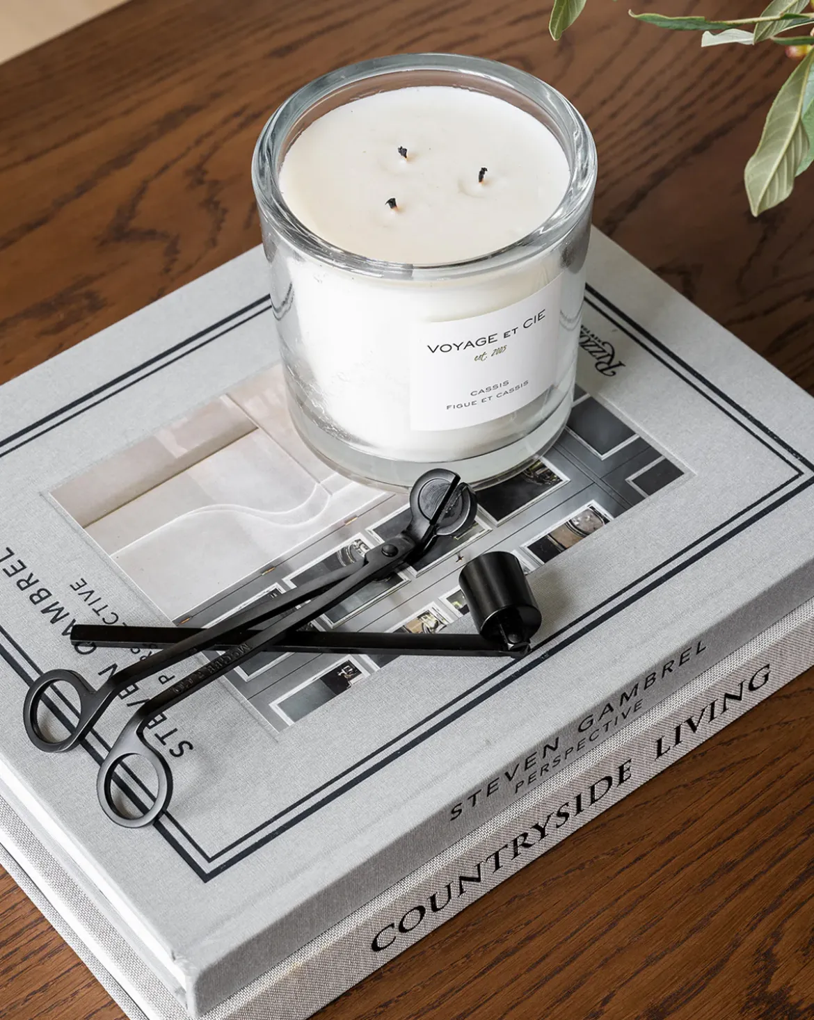 Wick Trimmer