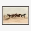 Wild Horses