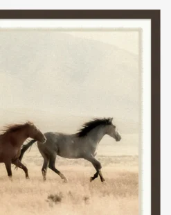 Wild Horses