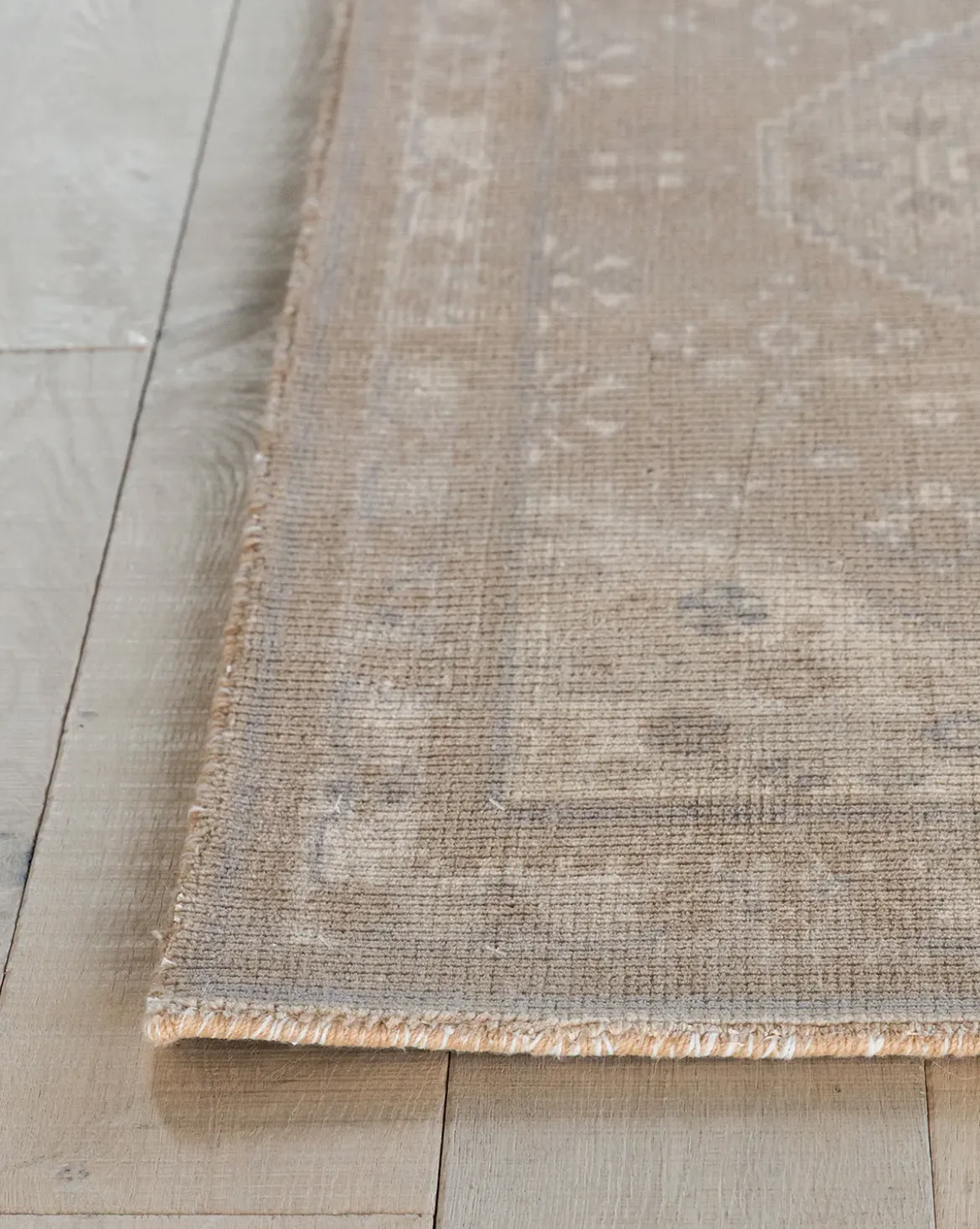 Zaragoza Hand-Tufted Wool Rug